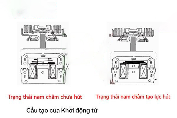 Cấu Tạo Contactor